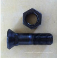 nitriding titanium carriage bolt